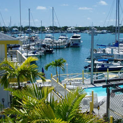 Caraibes Iles Abacos Marsh Harbour 